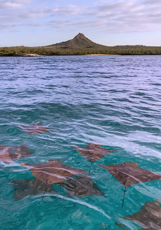 Aqua Mare Galapagos Yacht Trip